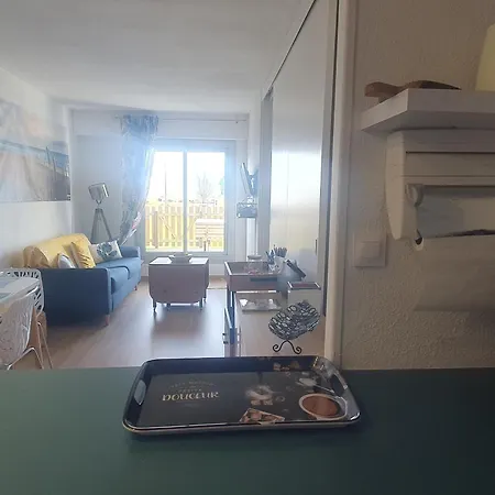 아파트 Moderne En Front De Mer Avec Loggia Et Terrasse Ensoleillee, Wi-fi Et Equipements Complets. - Fr-1-648-179 *
